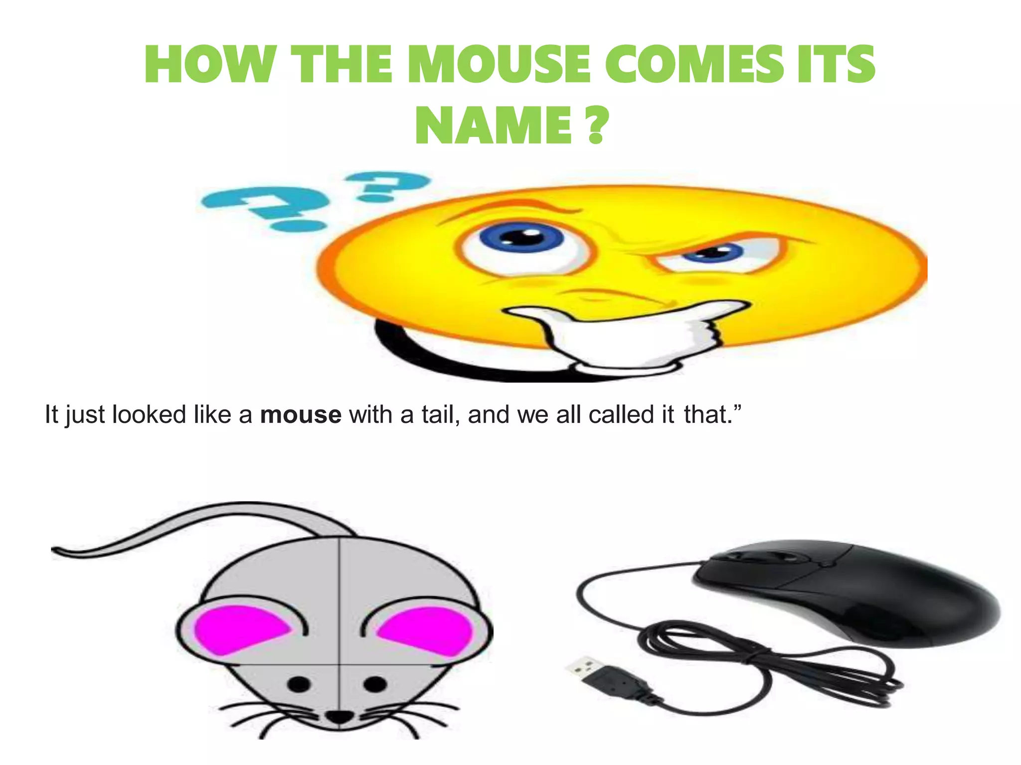 HOW THE MOUSE COMES ITS
NAME ?
It just looked like a mouse with a tail, and we all called it that.”
 