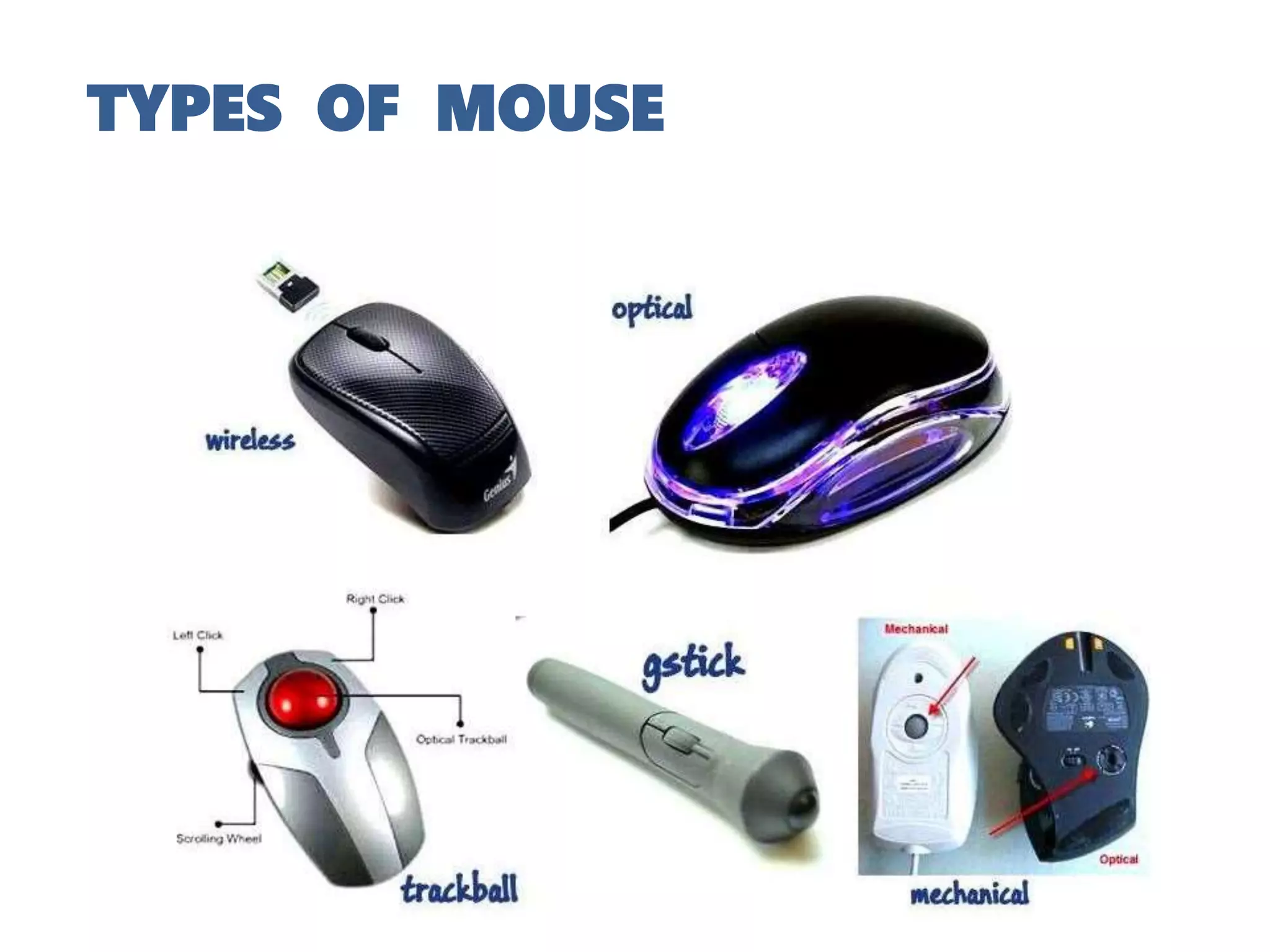 TYPES OF MOUSE
 