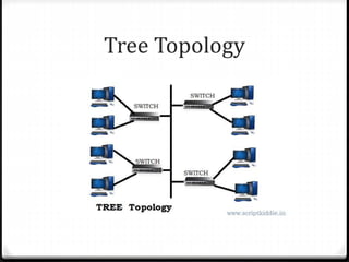 Computer Network Topologies | PPTX