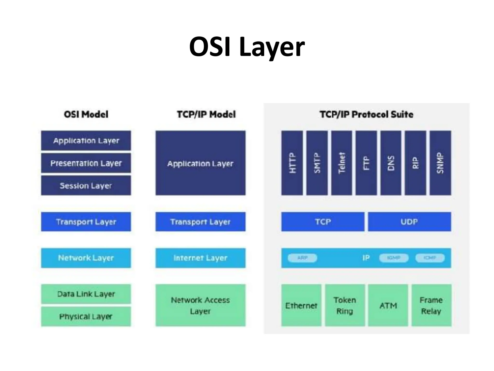 OSI Layer
 