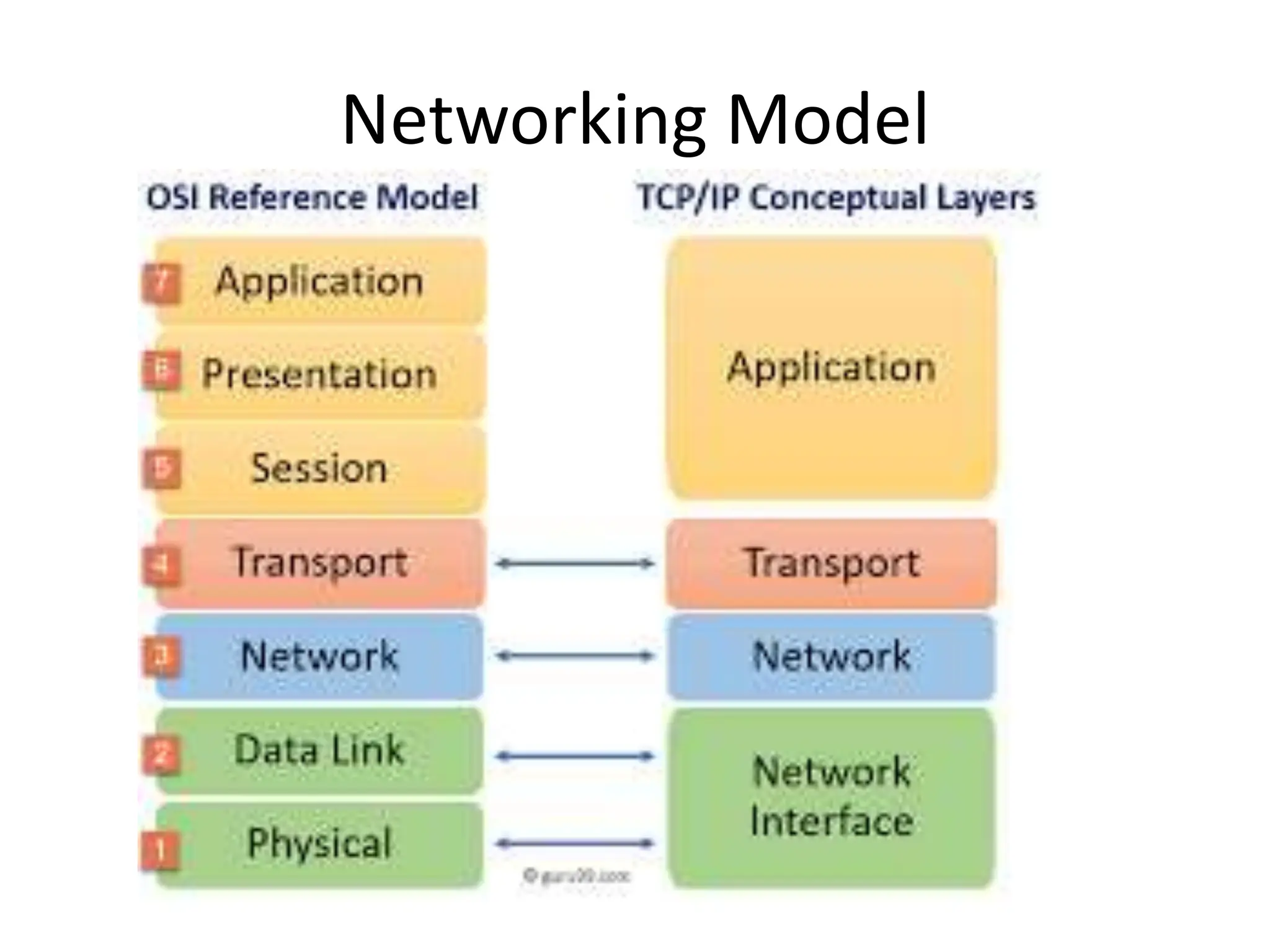 Networking Model
 