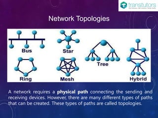 Computer Networking | Computer Science | PPT