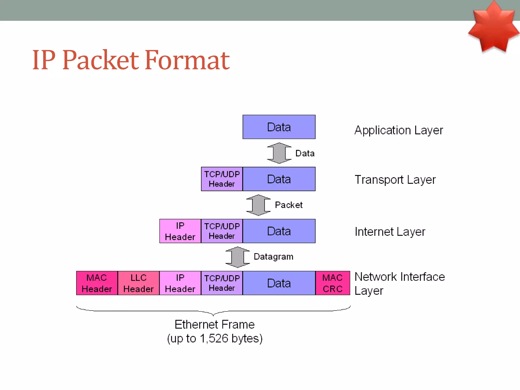 IP Packet Format
 