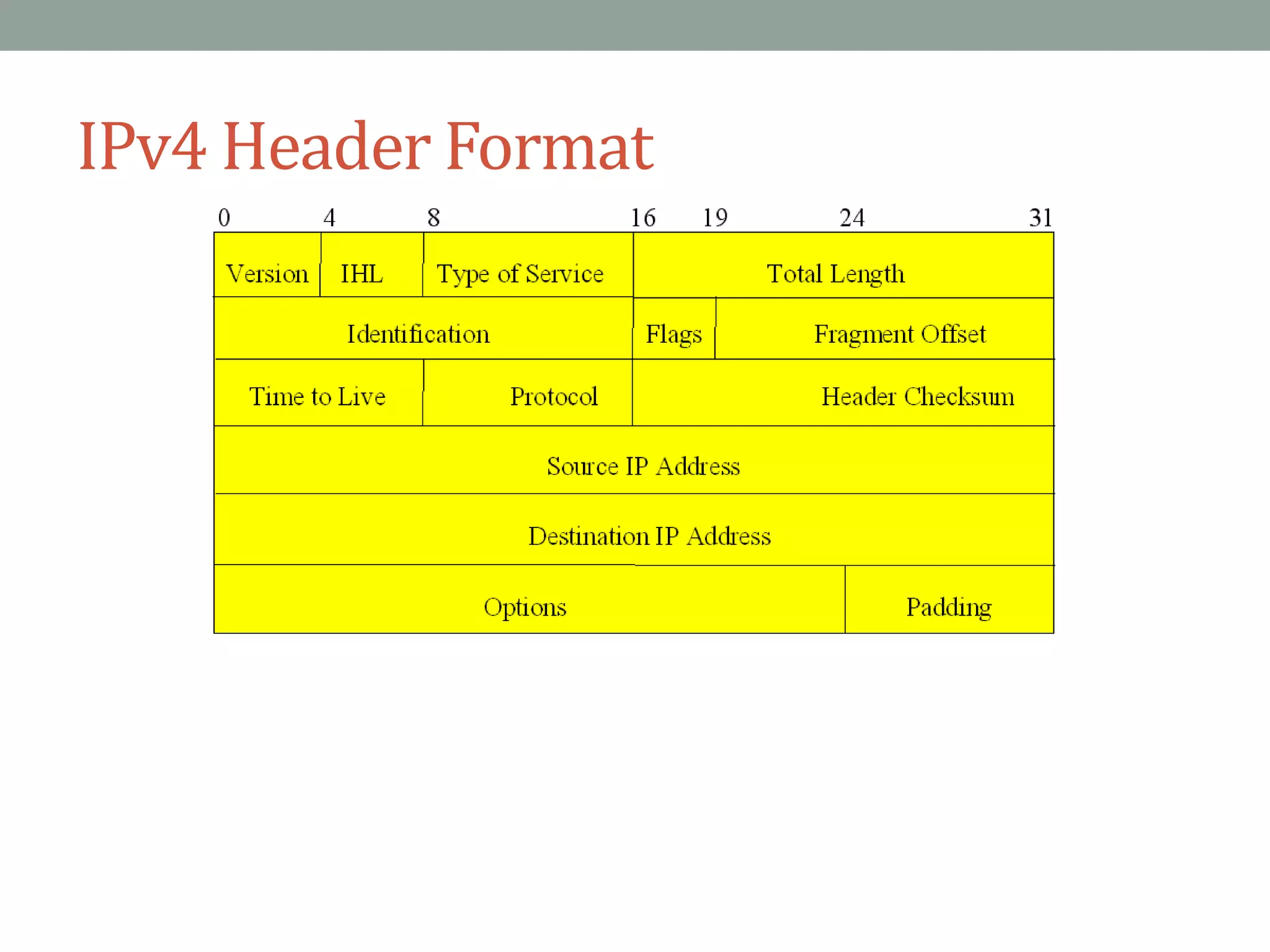 IPv4 Header Format
 