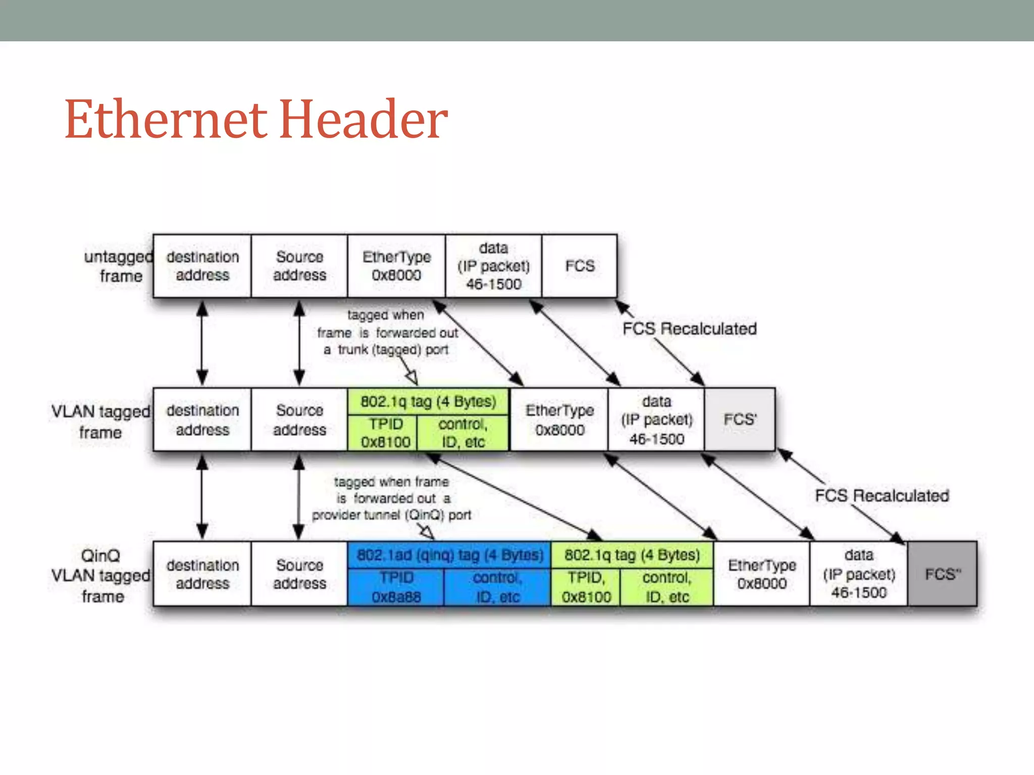 Ethernet Header
 