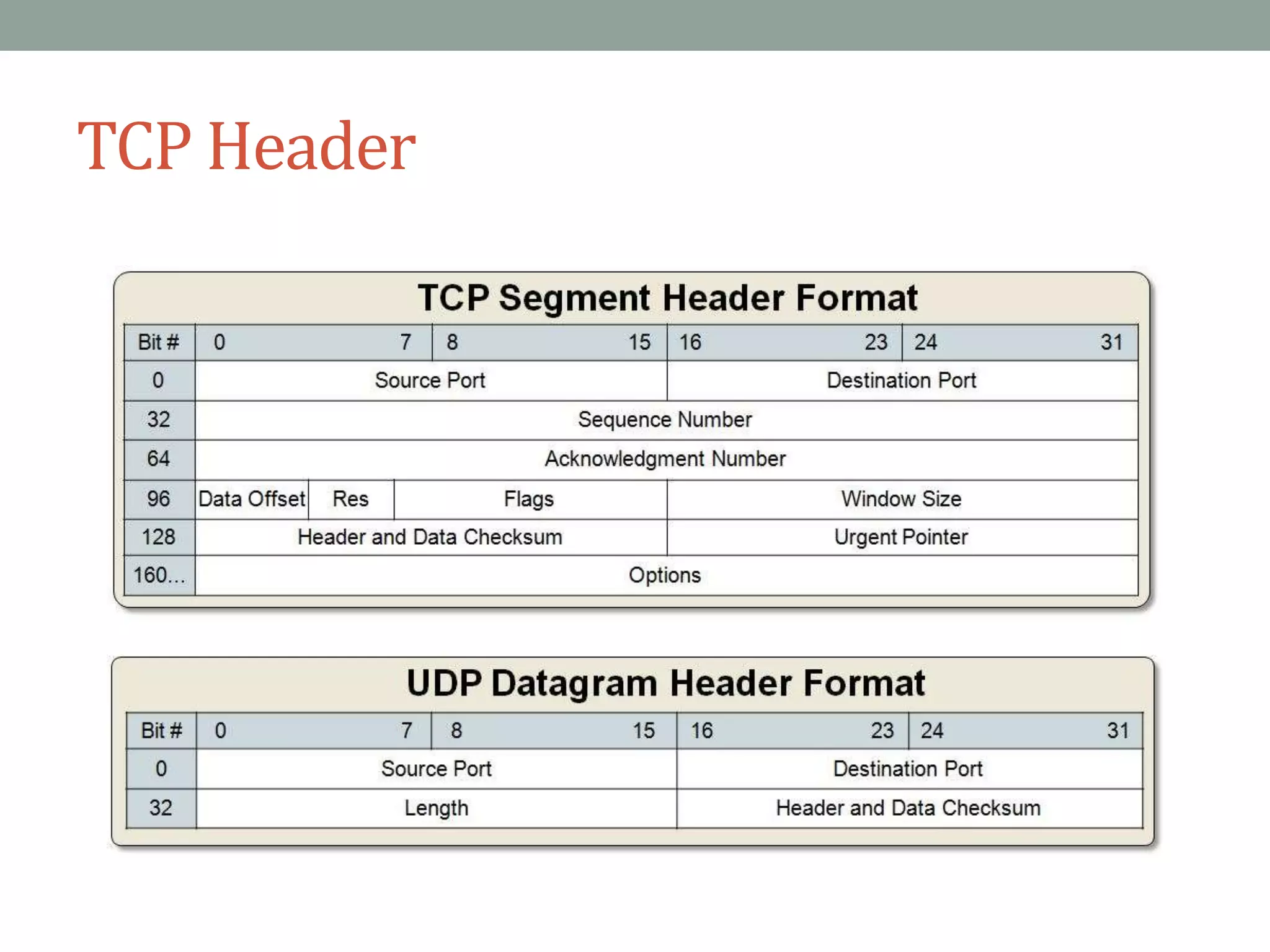 TCP Header
 
