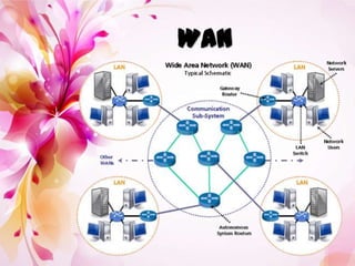WAN
 