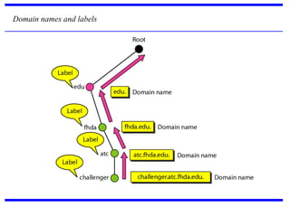 Domain names and labels
 