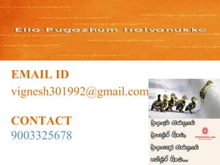 EMAIL ID
vignesh301992@gmail.com
CONTACT
9003325678
 