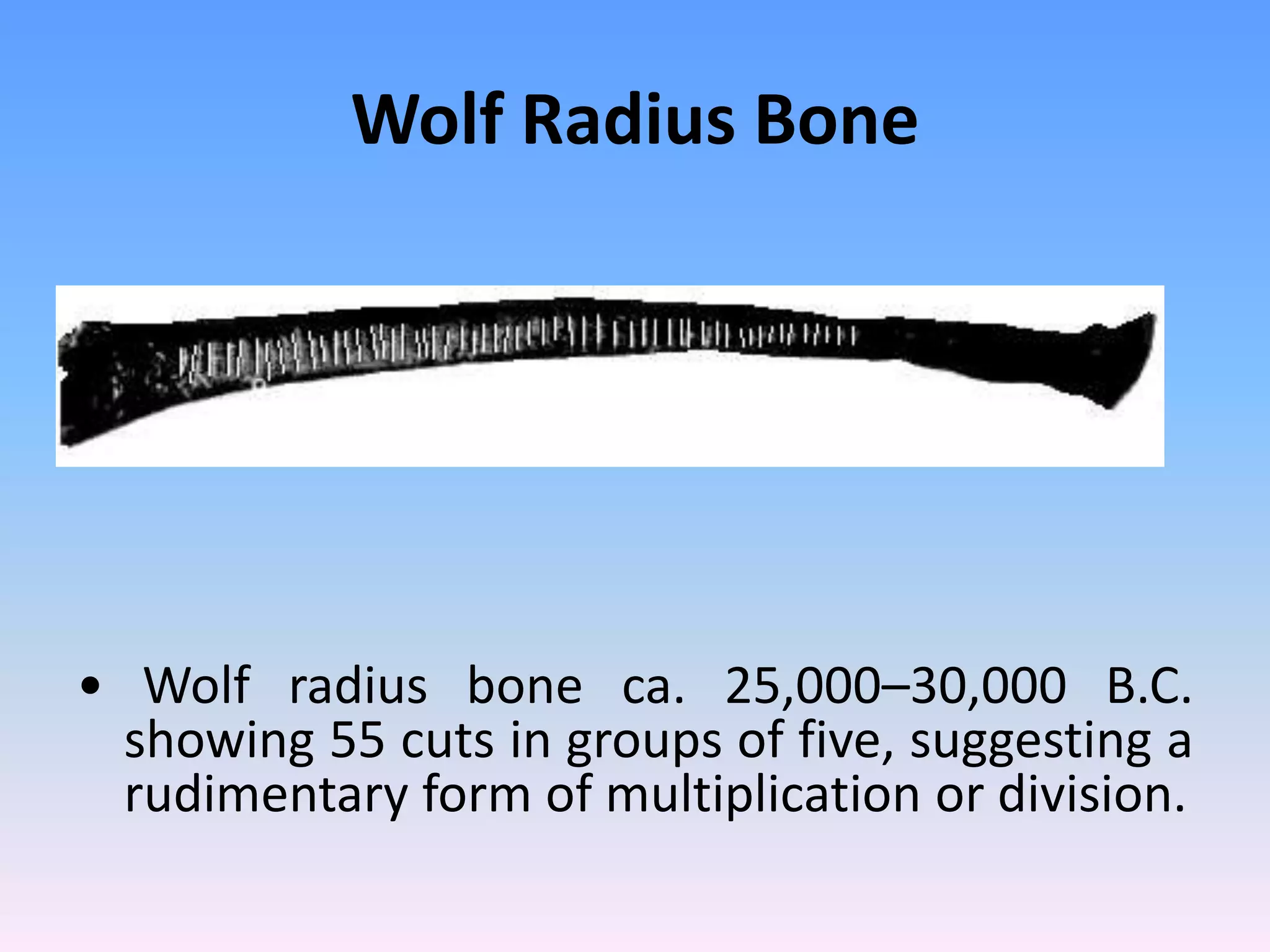 Wolf Radius Bone
• Wolf radius bone ca. 25,000–30,000 B.C.
showing 55 cuts in groups of five, suggesting a
rudimentary form of multiplication or division.
 