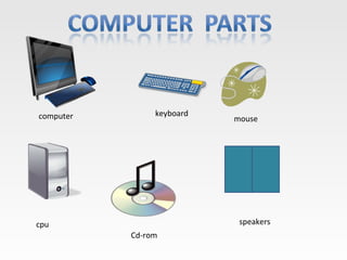 computer        keyboard
                           mouse




cpu                         speakers
           Cd-rom
 