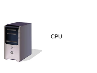 CPU 
 