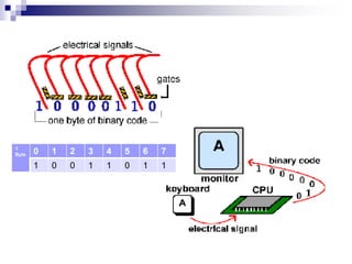 1
Byte 0 1 2 3 4 5 6 7
1 0 0 1 1 0 1 1
 