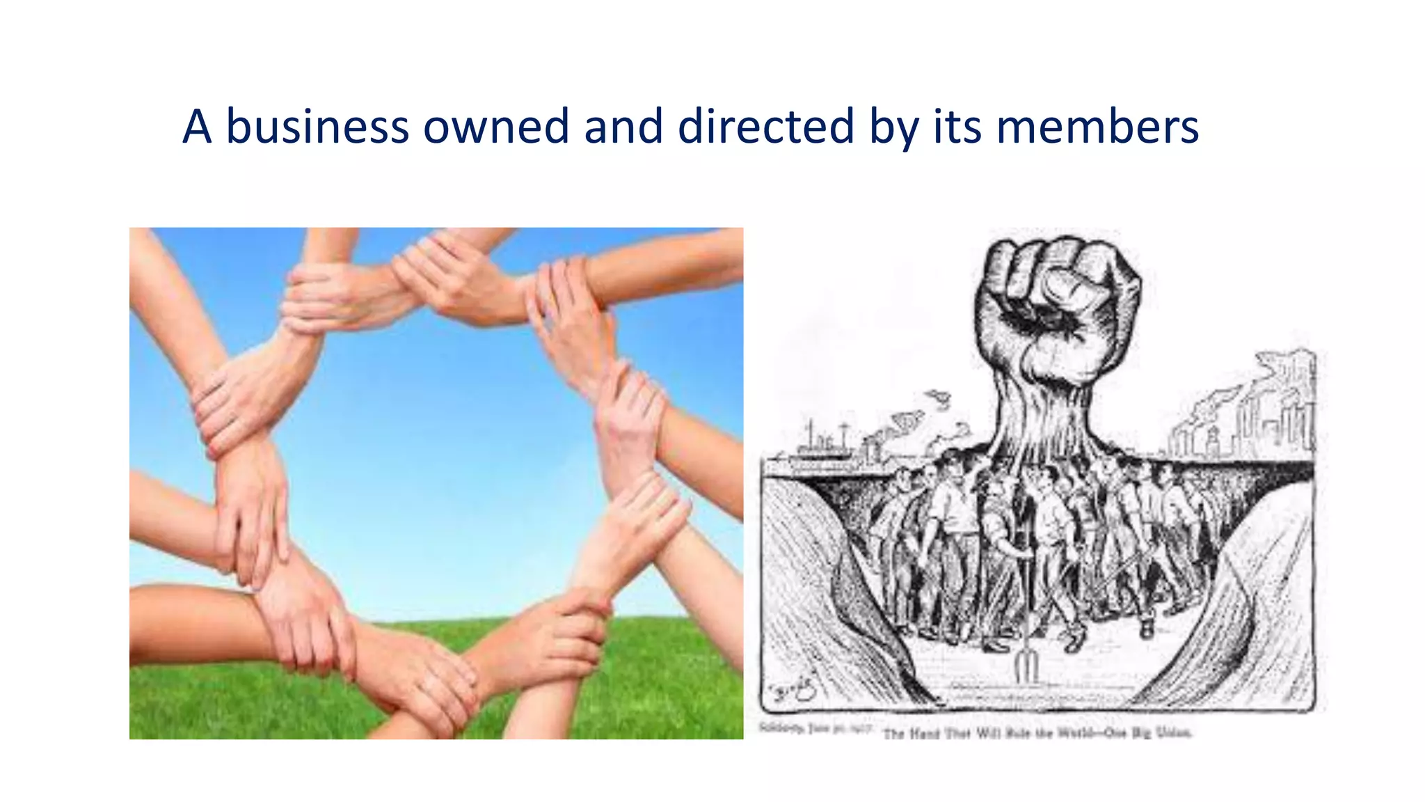 A business owned and directed by its members