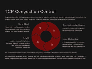 Computer(presentation) Transport and application layer | PDF
