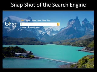Snap Shot of the Search Engine
 