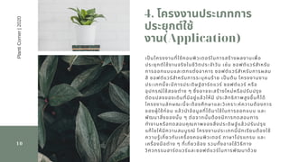 4. โครงงานประเภทการ
ประยุกต์ใช้
งาน(Application)
10
เปนโครงงานทีใช้คอมพิวเตอร์ในการสร้างผลงานเพือ
ประยุกต์ใช้งานจริงในชีวิตประจําวัน เช่น ซอฟต์แวร์สําหรับ
การออกแบบและตกแต่งอาคาร ซอฟต์แวร์สําหรับการผสม
สี ซอฟต์แวร์สําหรับการระบุคนร้าย เปนต้น โครงงานงาน
ประเภทนีจะมีการประดิษฐ์ฮาร์ดแวร์ ซอฟต์แวร์ หรือ
อุปกรณ์ใช้สอยต่าง ๆ ซึงอาจจะสร้างใหม่หรือปรับปรุง
ดัดแปลงของเดิมทีมีอยู่แล้วให้มี ประสิทธิภาพสูงขึนก็ได้
โครงงานลักษณะนีจะต้องศึกษาและวิเคราะห์ความต้องการ
ของผู้ใช้ก่อน แล้วนําข้อมูลทีได้มาใช้ในการออกแบบ และ
พัฒนาสิงของนัน ๆ ต่อจากนันต้องมีการทดสอบการ
ทํางานหรือทดสอบคุณภาพของสิงประดิษฐ์แล้วปรับปรุง
แก้ไขให้มีความสมบูรณ์ โครงงานประเภทนีนักเรียนต้องใช้
ความรู้เกียวกับเครืองคอมพิวเตอร์ ภาษาโปรแกรม และ
เครืองมือต่าง ๆ ทีเกียวข้อง รวมทังอาจใช้วิธีทาง
วิศวกรรมฮาร์ดแวร์และซอฟต์แวร์ในการพัฒนาด้วย
PlantiCorner|2020
 
