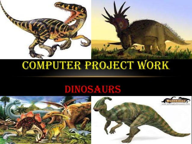 Computer project work | PPT