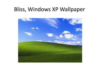 Bliss, Windows XP Wallpaper
 