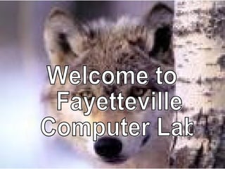 Welcome to Fayetteville Computer Lab 