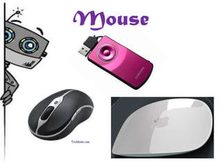 Mouse
 