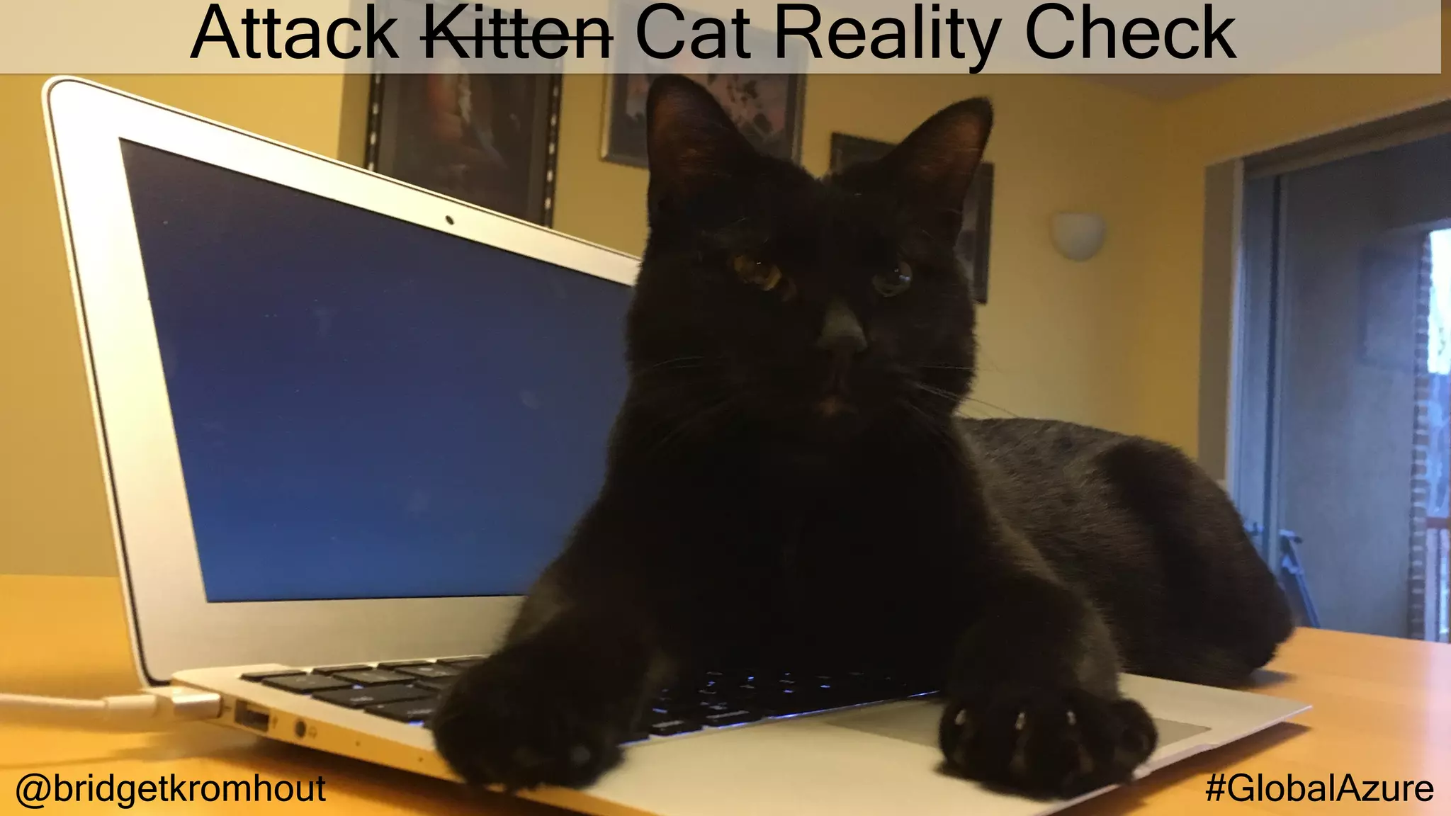 @bridgetkromhout #GlobalAzure
Attack Kitten Cat Reality Check
 