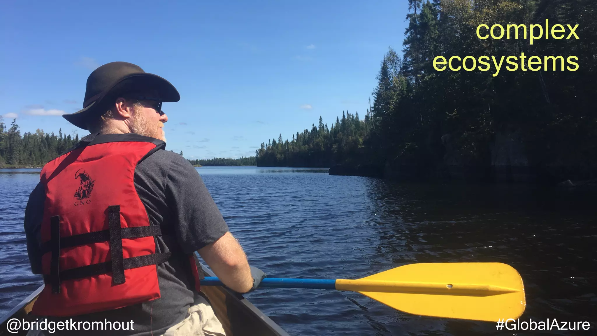 @bridgetkromhout #GlobalAzure
complex
ecosystems
 