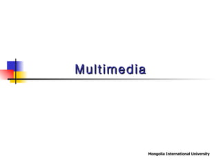Multimedia 