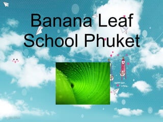 Banana Leaf
School Phuket
 