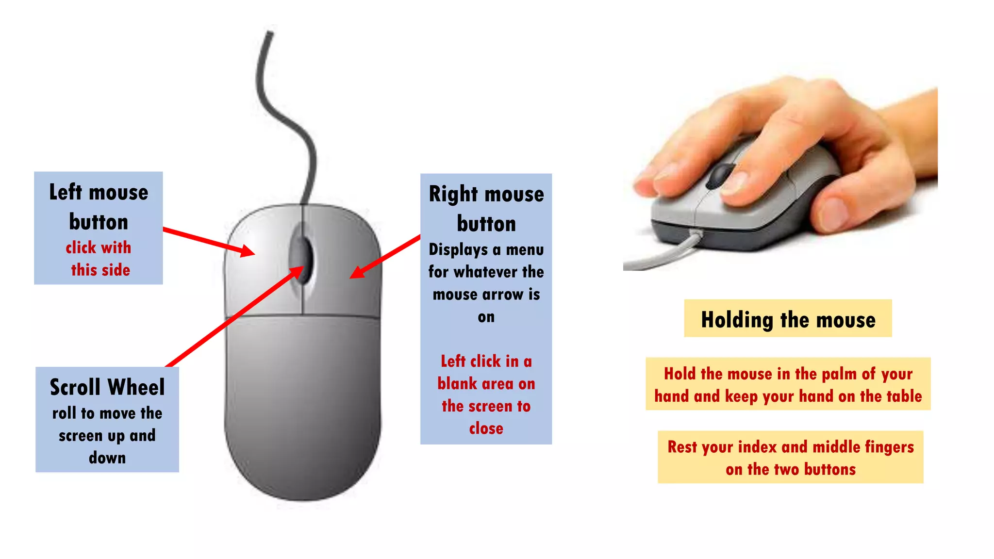 Cursor Shapes
Arrow
I-Beam
Internet
Pointer
Stop
Clicking
& Wait