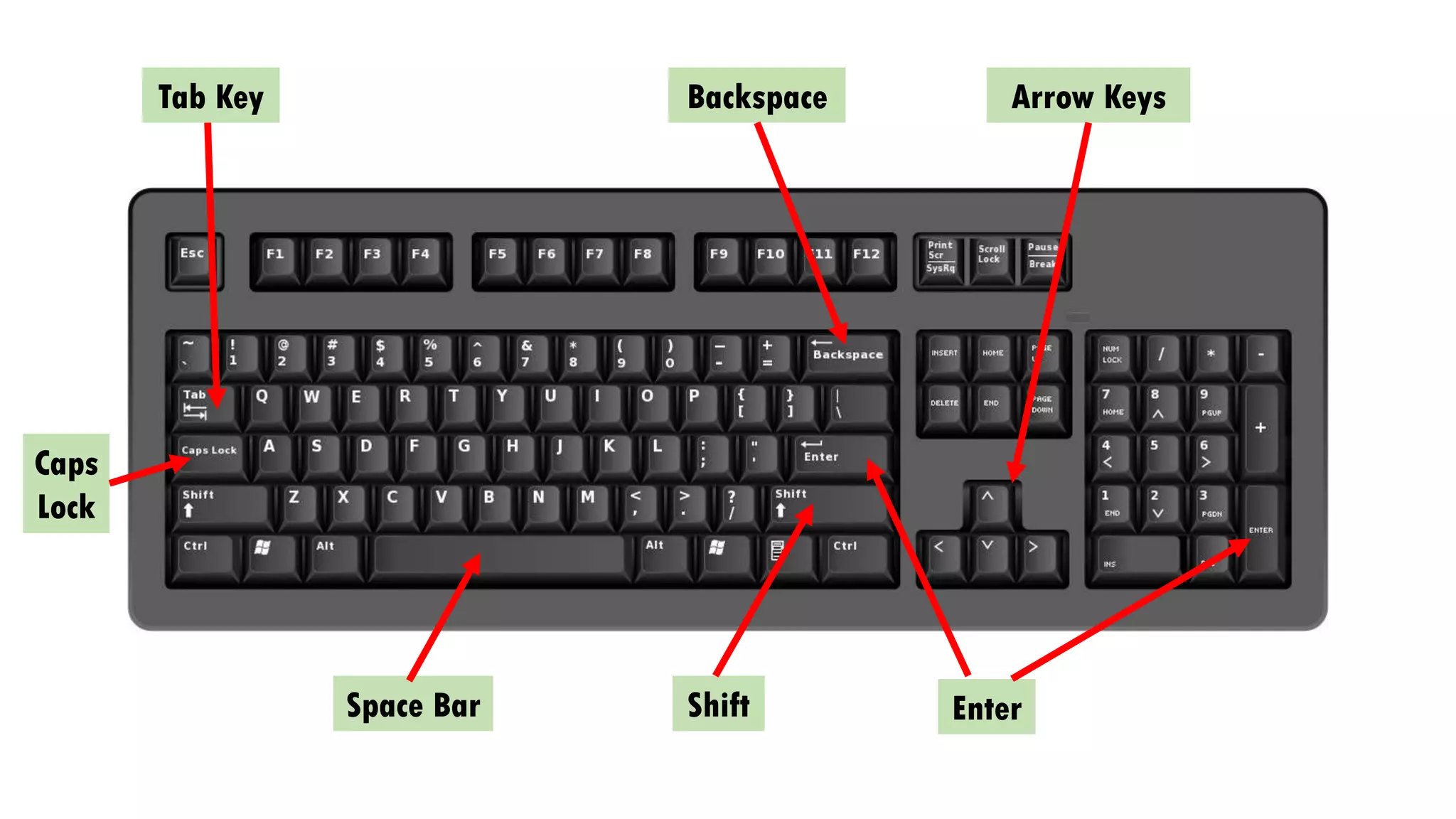 EnterShift
Backspace
Caps
Lock
Arrow KeysTab Key
Space Bar