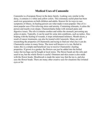 Medical Uses of Camomile
Camomile is a European flower in the daisy family. Looking very similar to the
daisy, it contains it s white and yellow colors. This extremely useful plant has been
used over generations on both children and adults. Known for its ways to cure
symptoms of illness, its healing powers are what made it most popular. One of it s
most popular uses if for relieving stress and anxiety. Containing relaxants, it calms the
person and maybe even sleepy. Chamomilealso helps with stomach pains and
digestive issues. The oils it contains soothes and settles the stomach, preventing any
aches or pains. Topically, it can be used for some skin conditions, such as rashes. Also
helping with the healing of wounds, it stops irritationand itchiness. Mouth ulcers, a
result of cancer treatments, can also be treated with Camomile. Many are still
researching the properties of Chamomile and trying to find out what else it can do.
Chamomile comes in many forms. The most well known is it s tea. Boiled in
water, this is a simple and beneficial way to receive Chamomile s healing
properties. If grown in a garden, the flowers can just be added into the boiled
water, but tea bags can be bought at local stores. The flower heads are the only part
used in tea, but the whole flower is useful. Ointment and skin cream is also made
with the flower heads. Mouthwash is made the same way that the tea is, and also
uses the flower heads. There are many other creative uses for situations like irritated
eyes or for
 