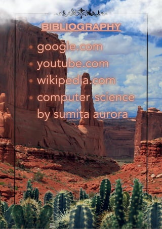 Computer Science Project- Laundry Management System