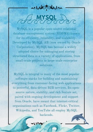 Computer Science Project- Laundry Management System