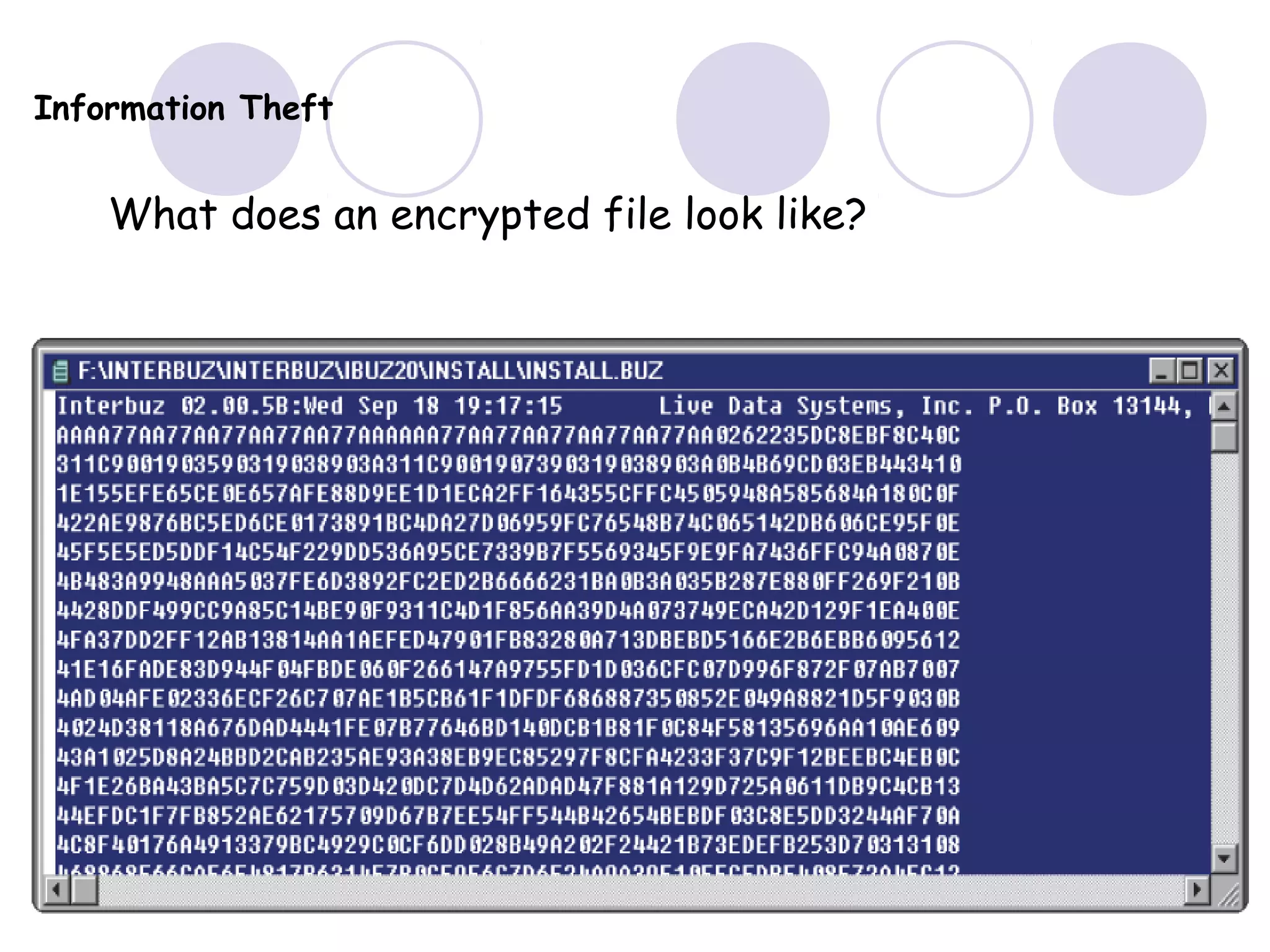 Information Theft
What does an encrypted file look like?
 
