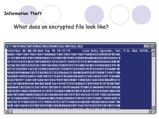Information Theft
What does an encrypted file look like?
 