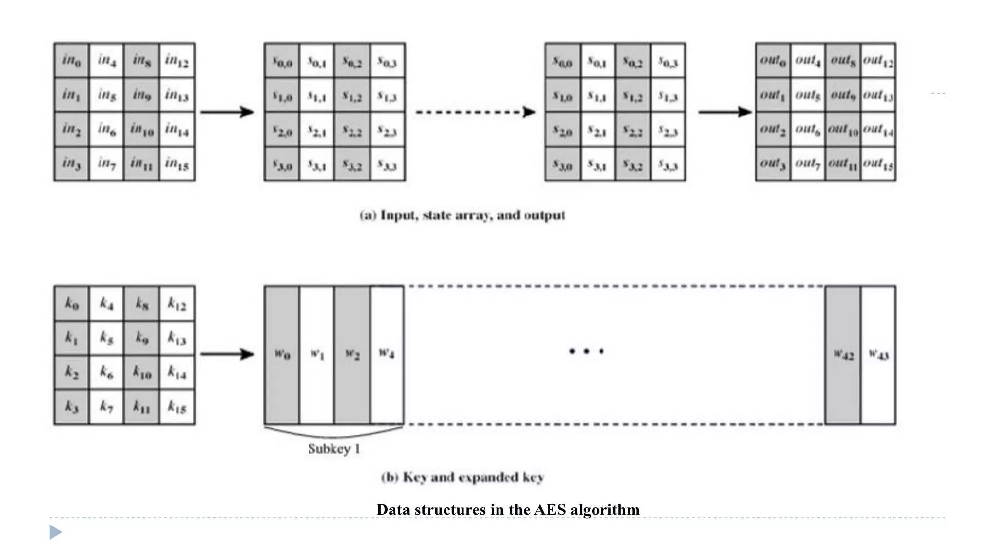 Data structures in the AES algorithm
 