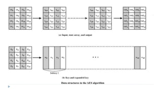 Data structures in the AES algorithm
 