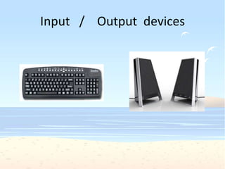 Input / Output devices