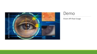 Demo
Vision API Raw Usage
 