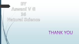 Computer simulations