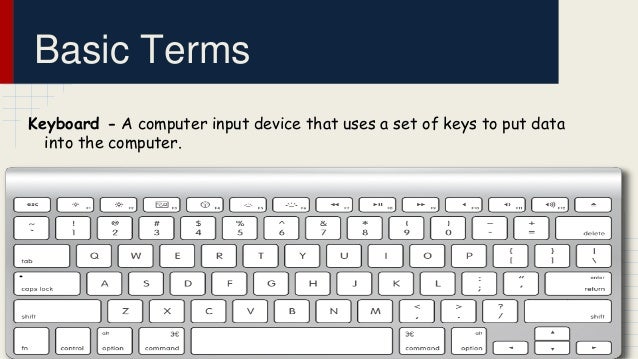 what are computer skills