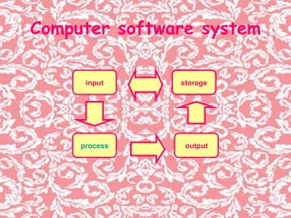 Computer software system input process storage output 