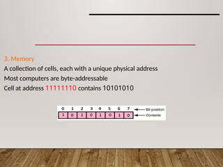 Computer systemn of class eleven cb.pptx
