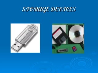 STORAGE DEVICES 