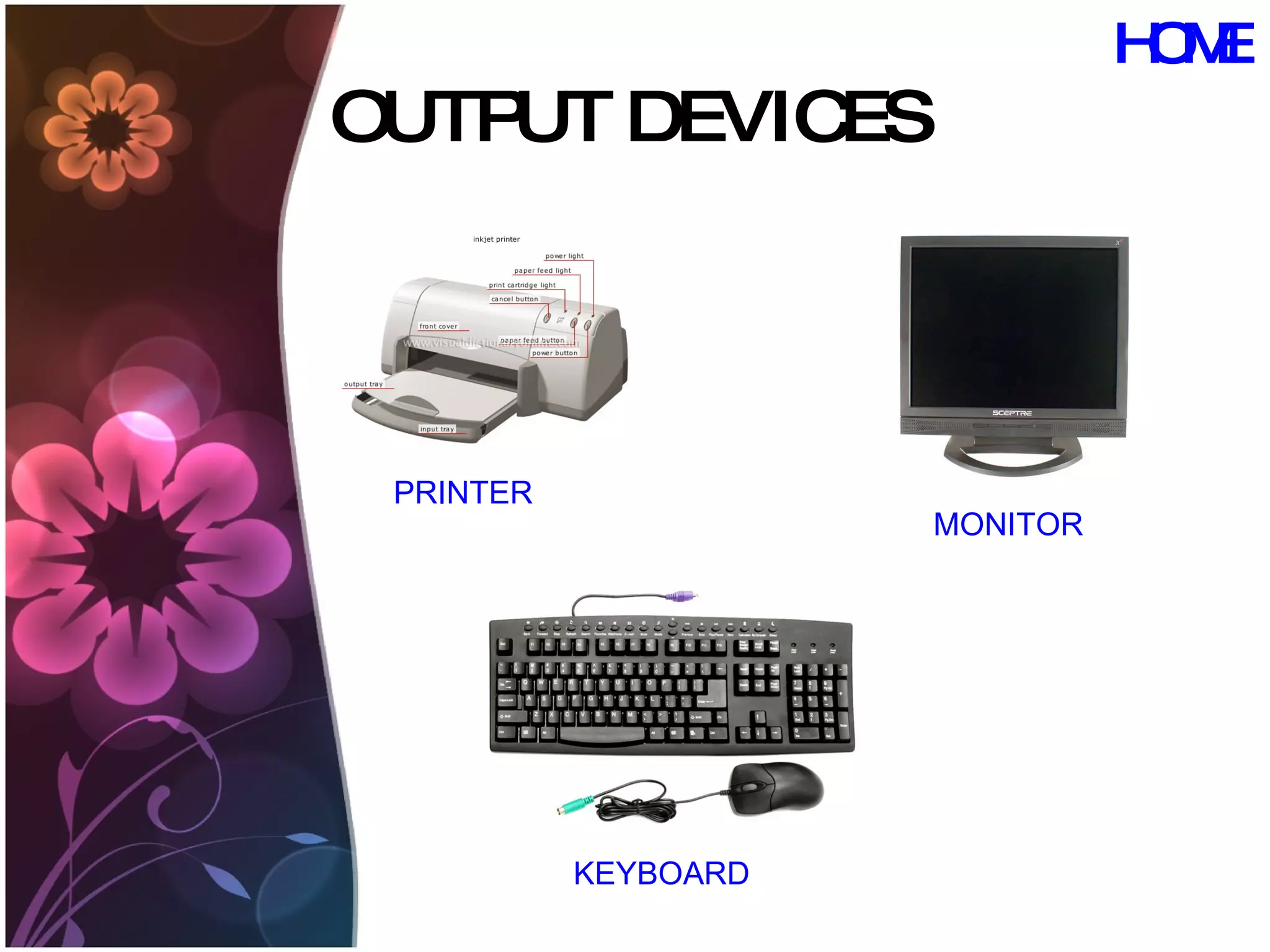 OUTPUT DEVICES PRINTER KEYBOARD MONITOR HOME 