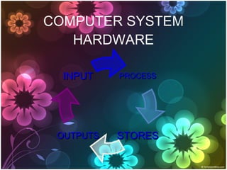 COMPUTER SYSTEM HARDWARE PROCESS OUTPUTS INPUT STORES 