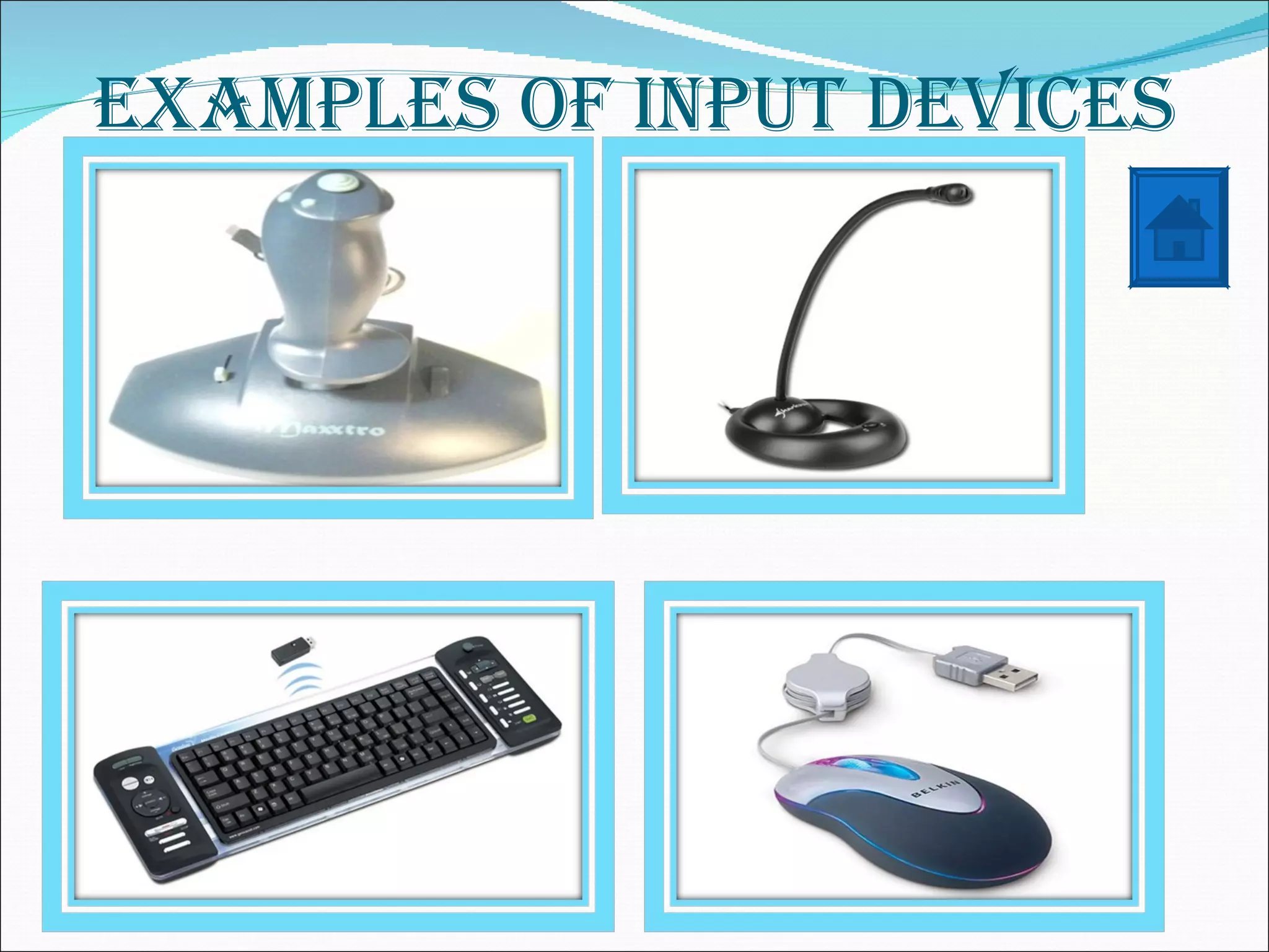 EXAMPLES OF INPUT DEVICES
