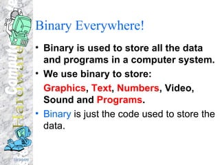 Binary Everywhere! Binary is used to store all the data and programs in a computer system. We use binary to store: Graphics ,  Text ,  Numbers , Video, Sound and  Programs . Binary  is just the code used to store the data.  