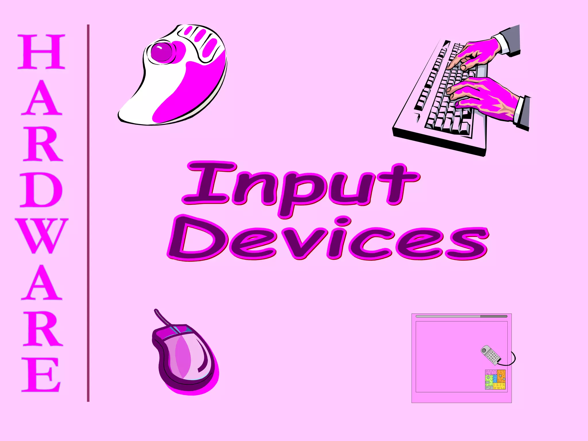 Input  Devices 
